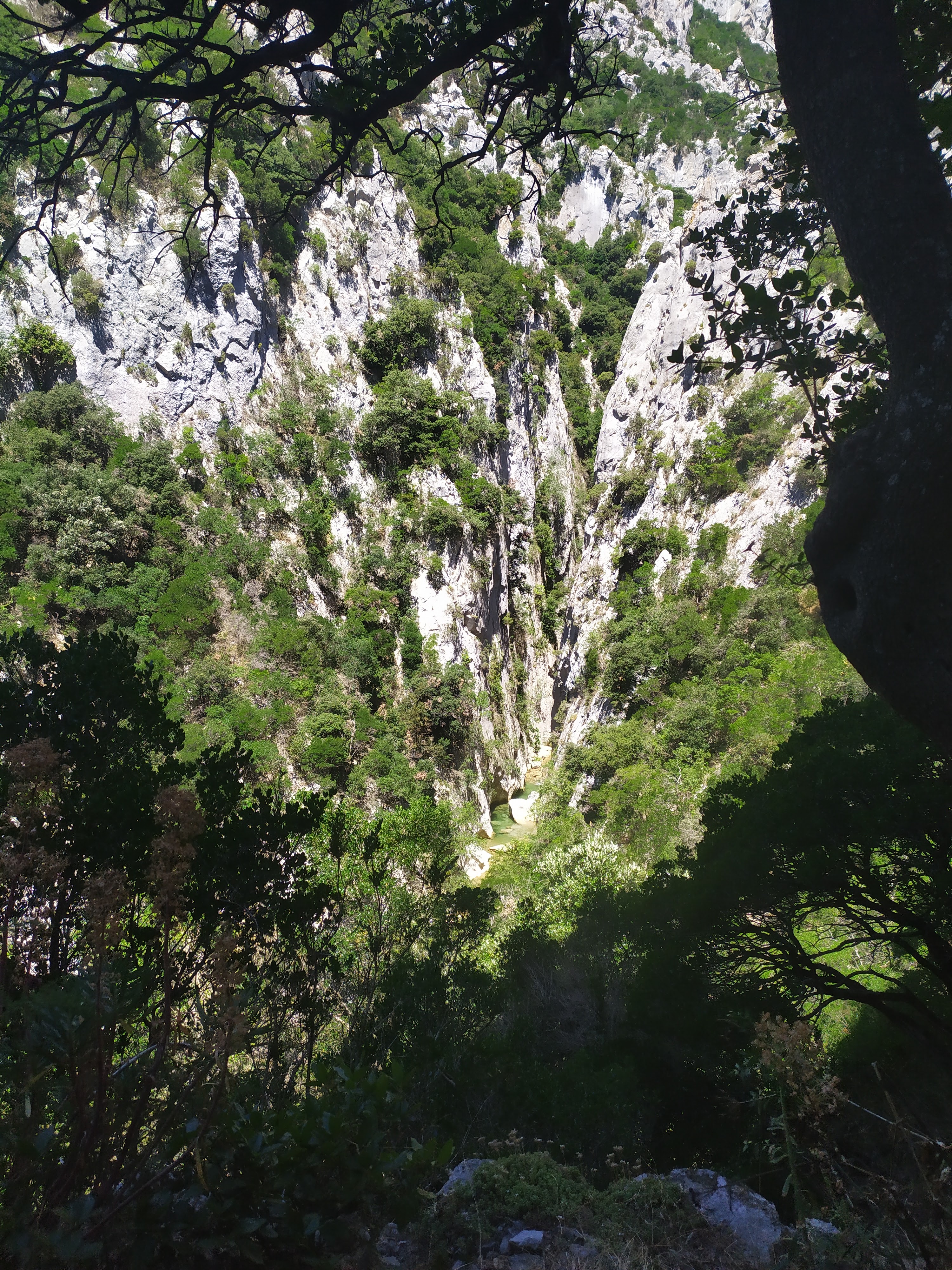 Photo n° 12 de l'avis de Romain.a fait le 05/07/2020 à 17:06