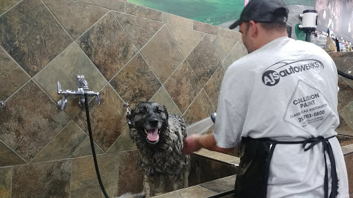 Pet Supply Store «Pet Valu», reviews and photos, 150 Main St, Lodi, NJ 07644, USA