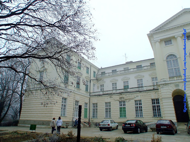 Értékelések erről a helyről: Orczy kastély, Pszichiátriai és Szenvedélybetegek Otthona és Rehabilitációs Intézmény, Újszász - Múzeum