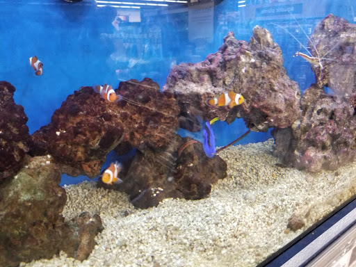 Pet Supply Store «Petco Animal Supplies», reviews and photos, 2005 W 8 Mile Rd, Detroit, MI 48203, USA