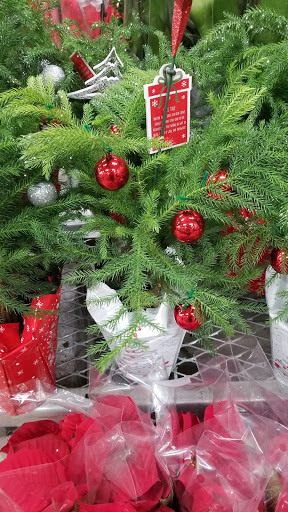 Home Improvement Store «The Home Depot», reviews and photos, 2801 James Sanders Blvd, Paducah, KY 42001, USA