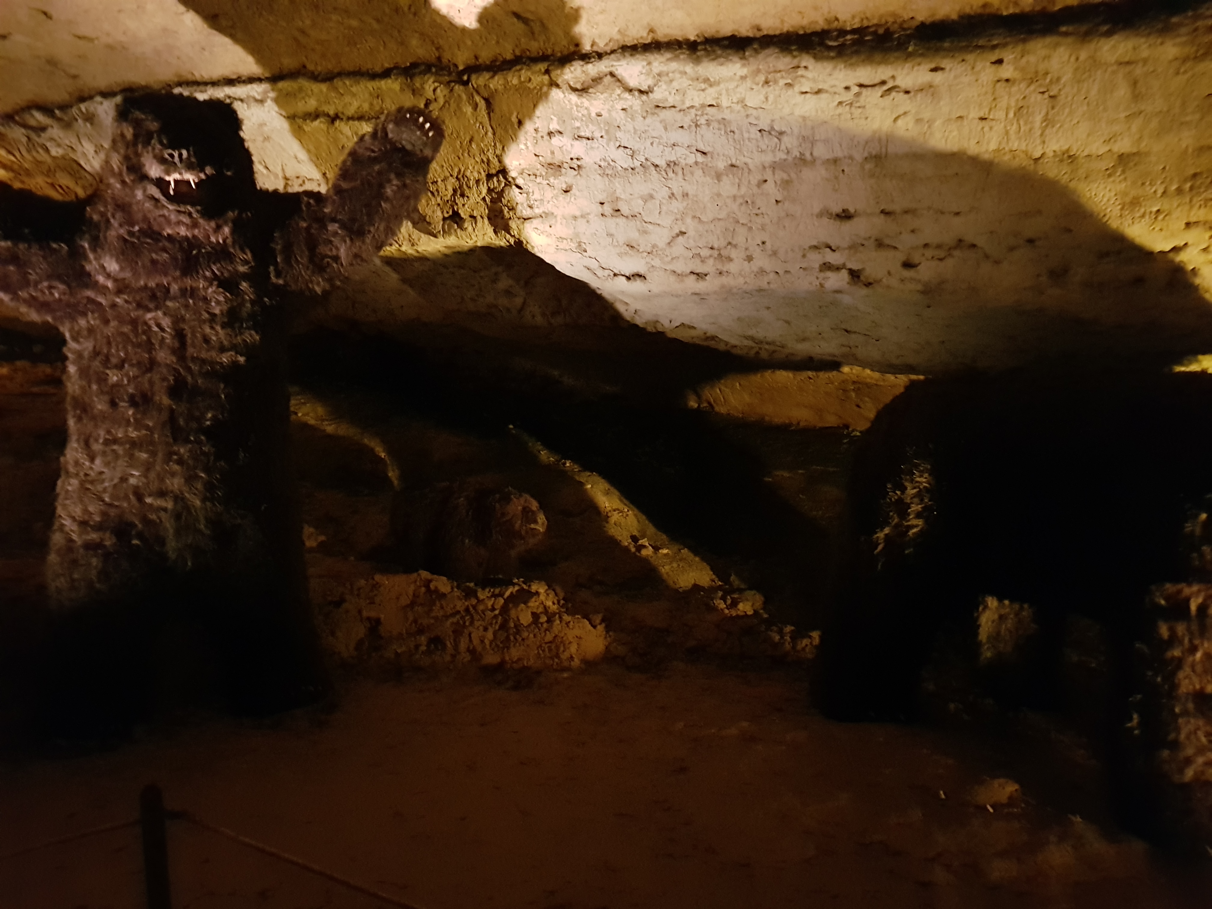 Photo n° 11 de l'avis de Jan.o fait le 05/06/2019 à 17:42