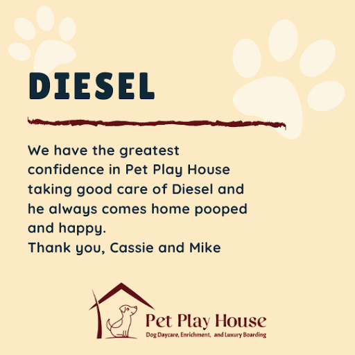 Pet Store «Pet Play House», reviews and photos, 2403 E 4th St, Reno, NV 89512, USA