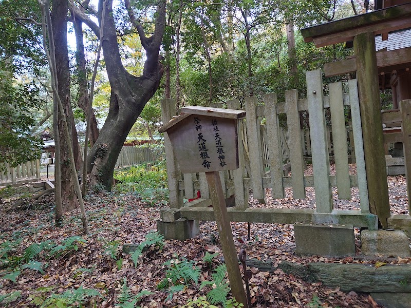 天道根神社