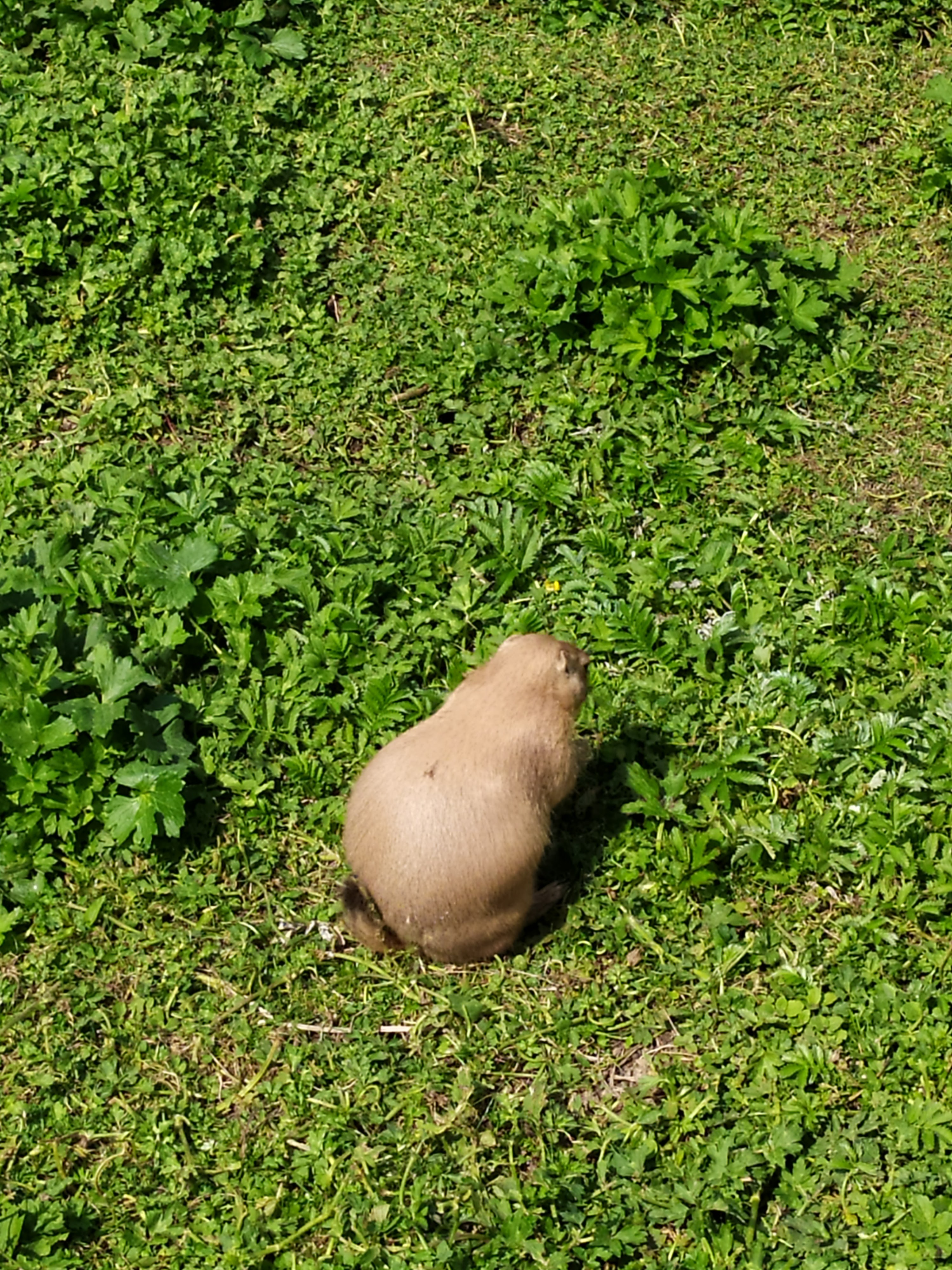 Photo n° 12 de l'avis de BOULANGER.h fait le 15/08/2021 à 15:50