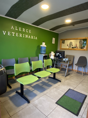 Opiniones de Alerce Veterinaria en Melipilla - Veterinario