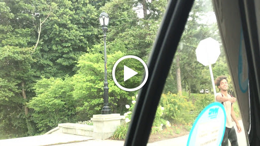 Art Museum «Albright-Knox Art Gallery», reviews and photos, 1285 Elmwood Ave, Buffalo, NY 14222, USA