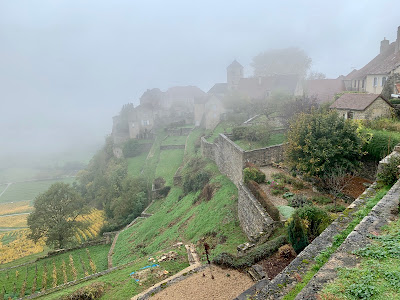 Vigne Conservatoire à Château-Chalon
