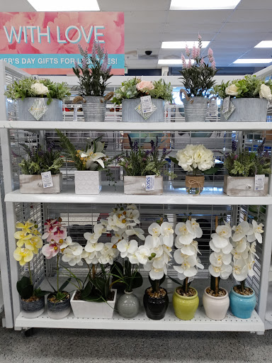 Clothing Store «Ross Dress for Less», reviews and photos, 3203 N State Rd 7, Lauderdale Lakes, FL 33319, USA