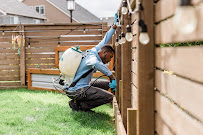 Insight Pest Control - Olympia - Photo 2 - Car repair in Olympia, WA, Olympia