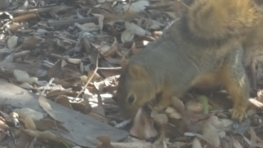 Park «Heritage Hill Historical Park», reviews and photos, 25151 Serrano Rd, Lake Forest, CA 92630, USA