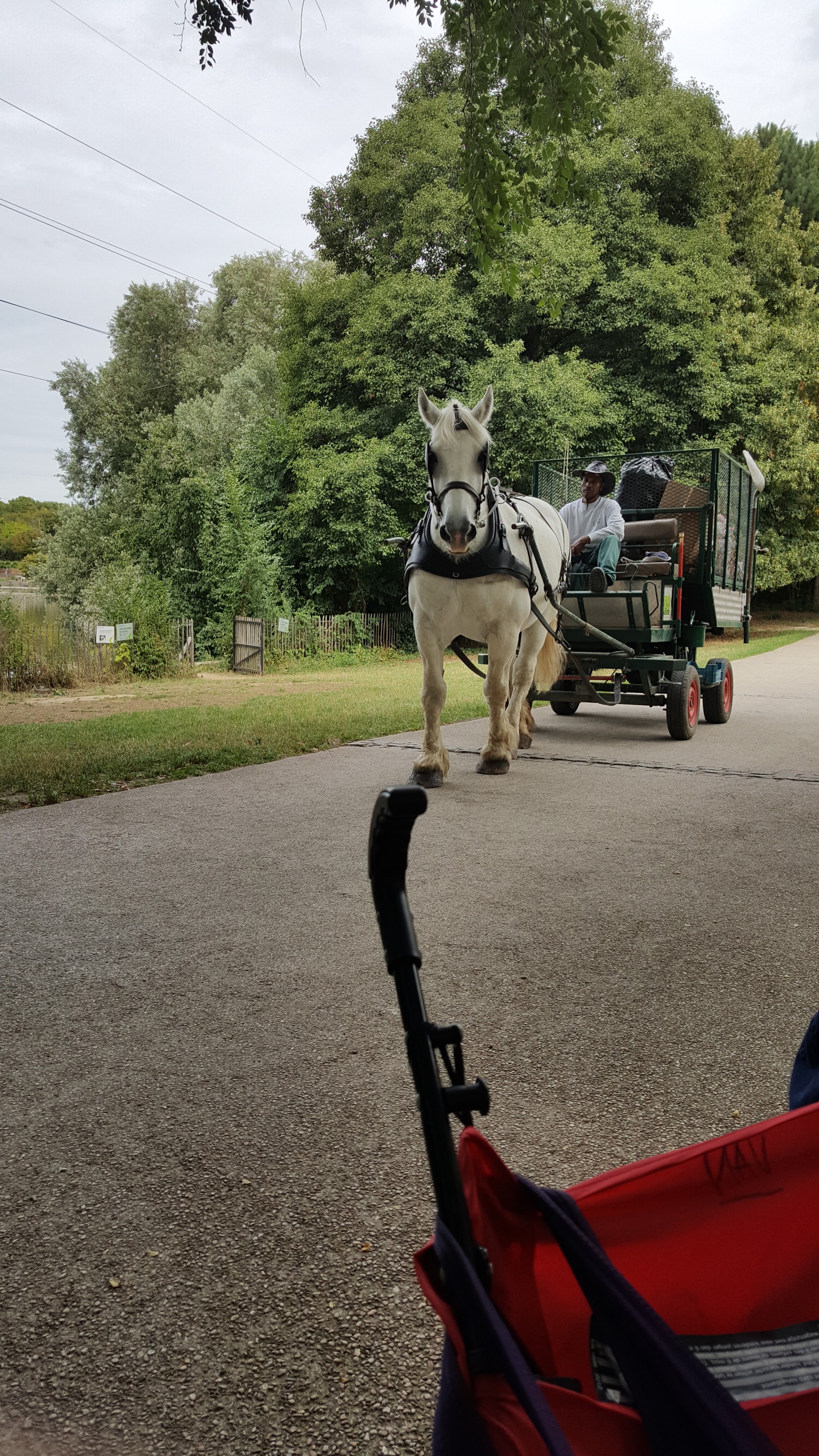 Photo n° 1 de l'avis de Isabelle.o fait le 17/08/2017 à 19:05