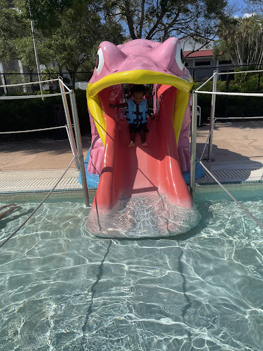 Public Swimming Pool «Sulphur Springs Pool», reviews and photos, 701 E Bird St, Tampa, FL 33604, USA