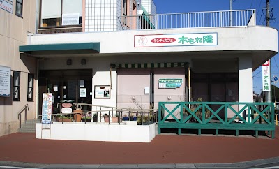 木もれ陽