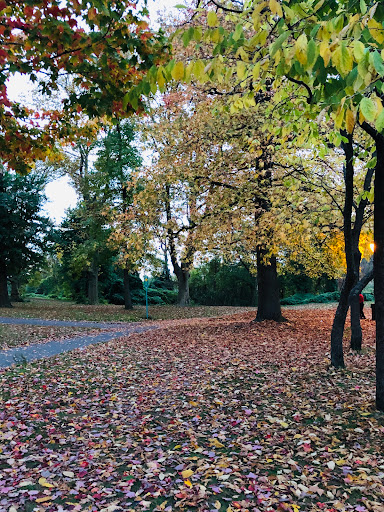 Park «Kissena Park», reviews and photos, 164-15 Booth Memorial Ave, Fresh Meadows, NY 11365, USA