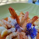 Photo n°9 de l'avis de Célia. fait le 22/07/2023 à 19:59 sur le  Blue Melides à Melides