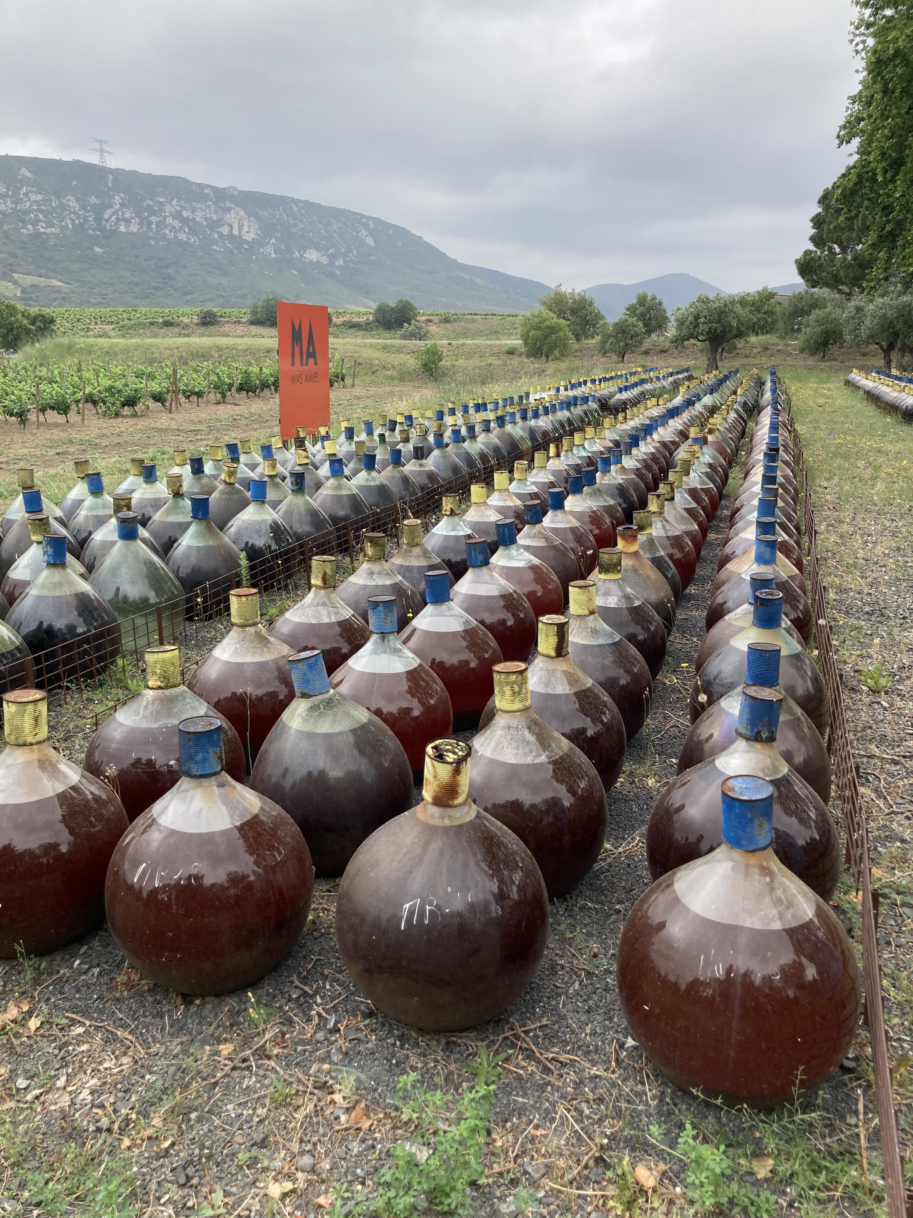 Photo n° 2 de l'avis de Guillermo.a fait le 21/06/2023 à 14:38