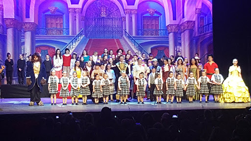 Performing Arts Group «Patchogue Theatre for the Performing Arts», reviews and photos, 71 E Main St, Patchogue, NY 11772, USA