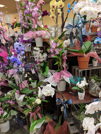 Grocery Store «Vons», reviews and photos, 932 E Badillo St, Covina, CA 91724, USA