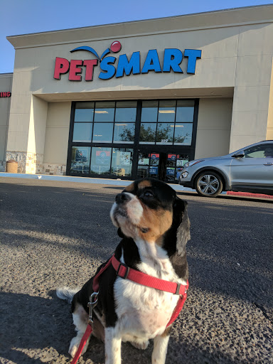 Pet Supply Store «PetSmart», reviews and photos, 2317 W Lincoln St, Harlingen, TX 78552, USA