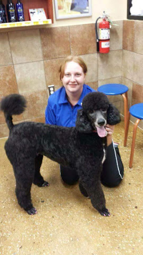 Pet Supply Store «Modern Pet», reviews and photos, 212-77 26th Ave, Bayside, NY 11360, USA