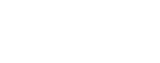 Saephanh Consulting LLC