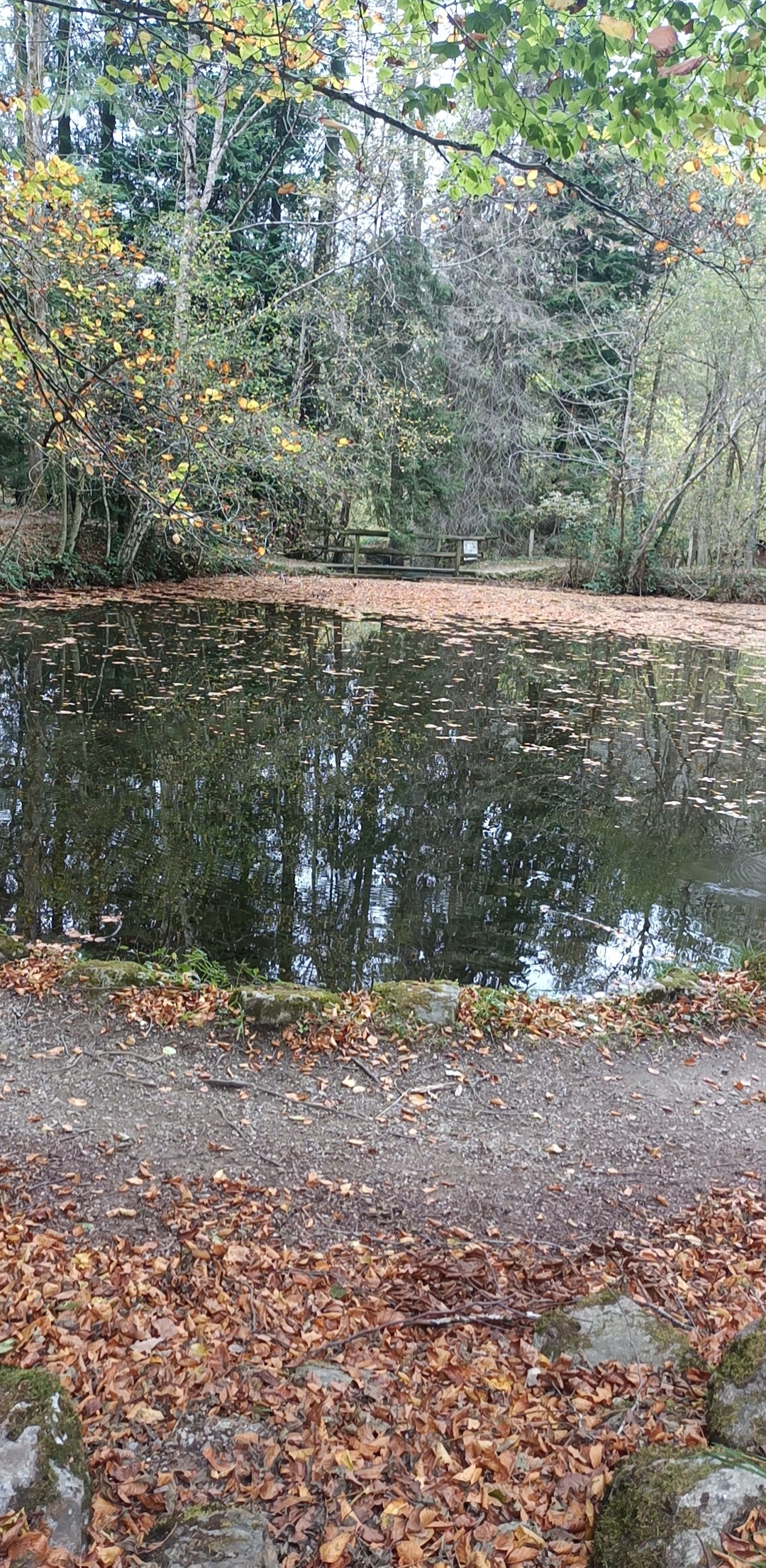 Photo n° 4 de l'avis de Alaa.e fait le 27/10/2022 à 18:56