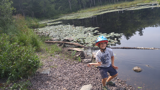 State Park «Lowell-Dracut-Tyngsborough State Forest», reviews and photos, Trotting Park Rd, Dracut, MA 01826, USA