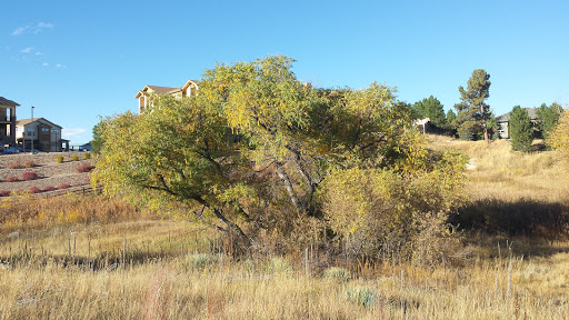 Park «Red-tailed Hawk Park», reviews and photos, 23701 E Hinsdale Way, Aurora, CO 80016, USA