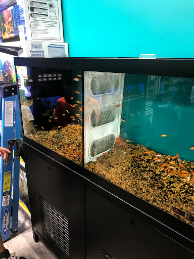 Pet Supply Store «Pet Supermarket, Inc.», reviews and photos, 1052 Peachtree Industrial Blvd, Suwanee, GA 30024, USA