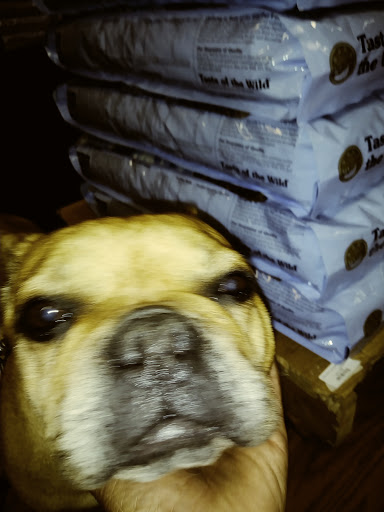 Pet Supply Store «Global Pet Food Outlet», reviews and photos, 20210 Normandie Ave, Torrance, CA 90502, USA