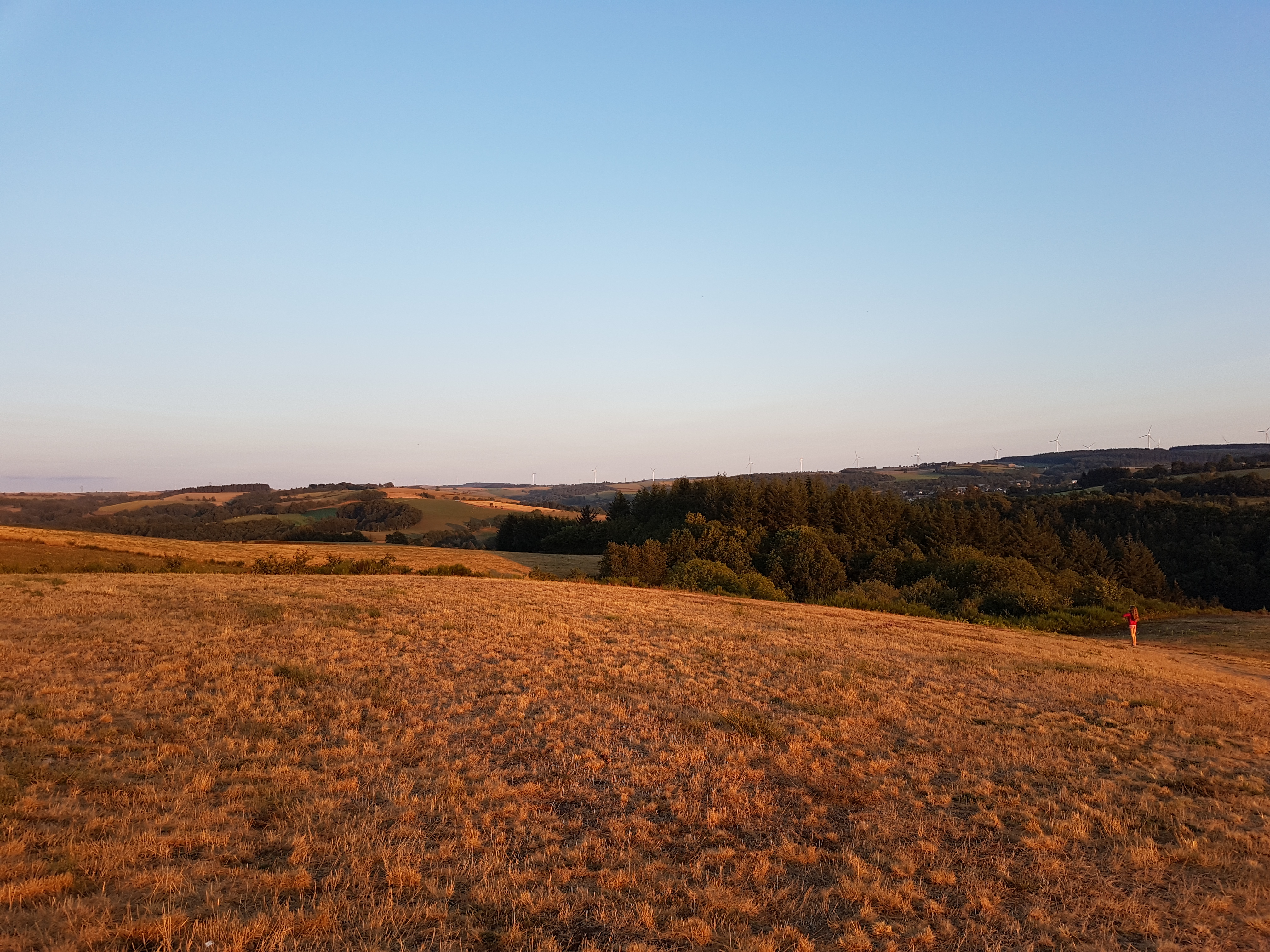 Photo n° 6 de l'avis de Chris.o fait le 02/09/2018 à 19:33
