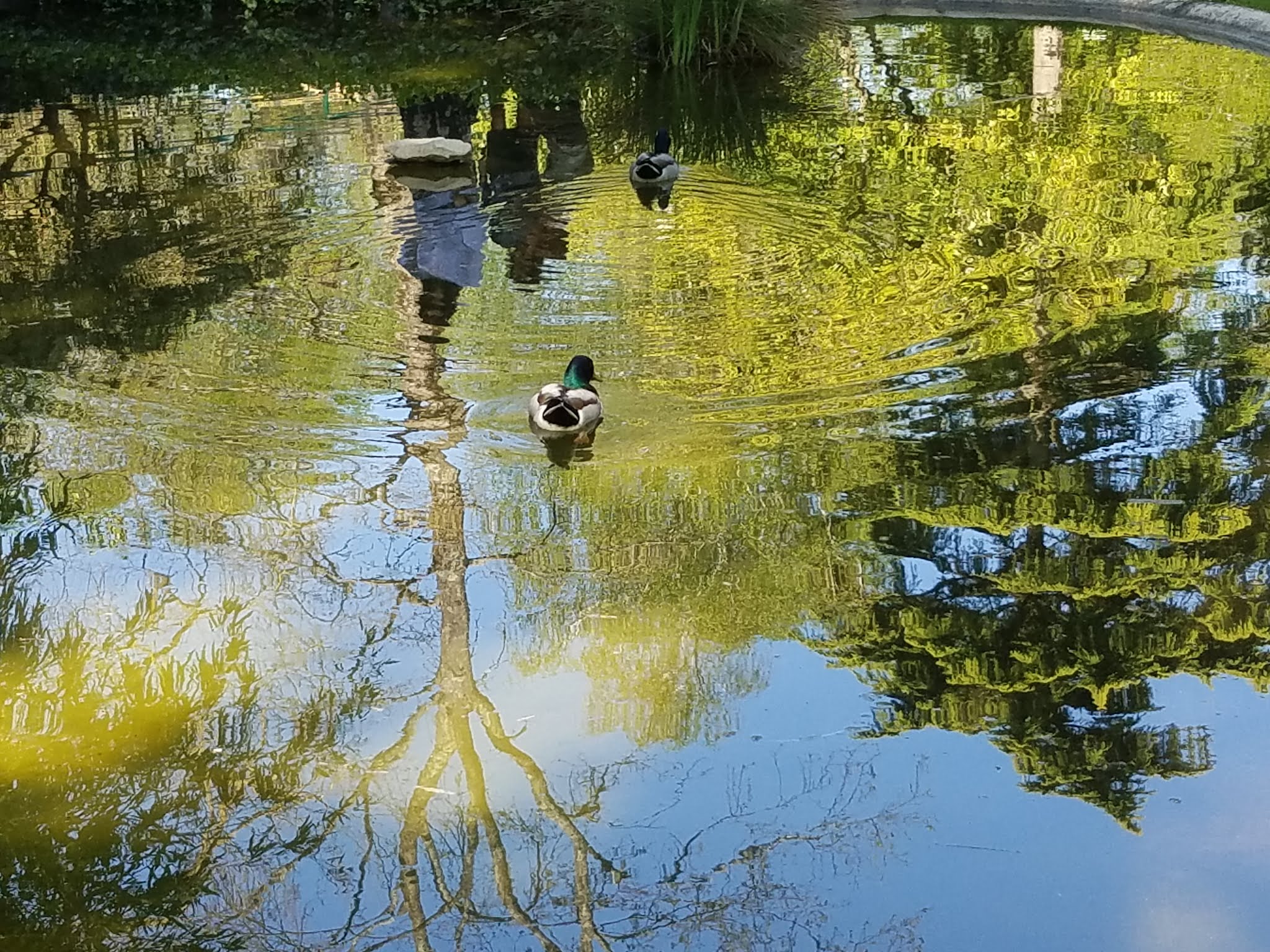 Photo n° 27 de l'avis de Elo.i fait le 14/09/2019 à 15:15