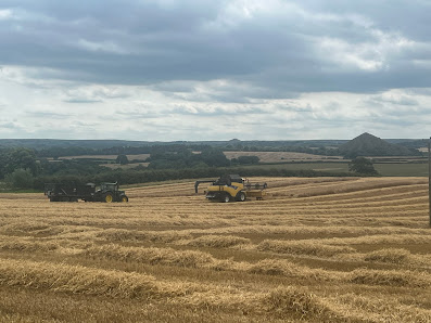 Kilton Hall Farm Saltburn-by-the-Sea TS12 2TY, United Kingdom