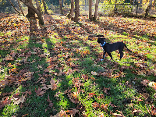 Park «Meridian Habitat Park & Community Center», reviews and photos, 14422 Meridian E, Puyallup, WA 98375, USA