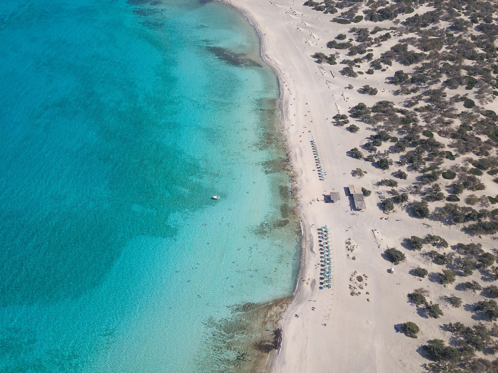 Foto von Goldener Strand mit heller feiner sand Oberfläche