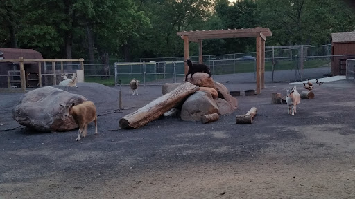 Park «Merrill Park», reviews and photos, Fairview Ave, Colonia, NJ 07067, USA