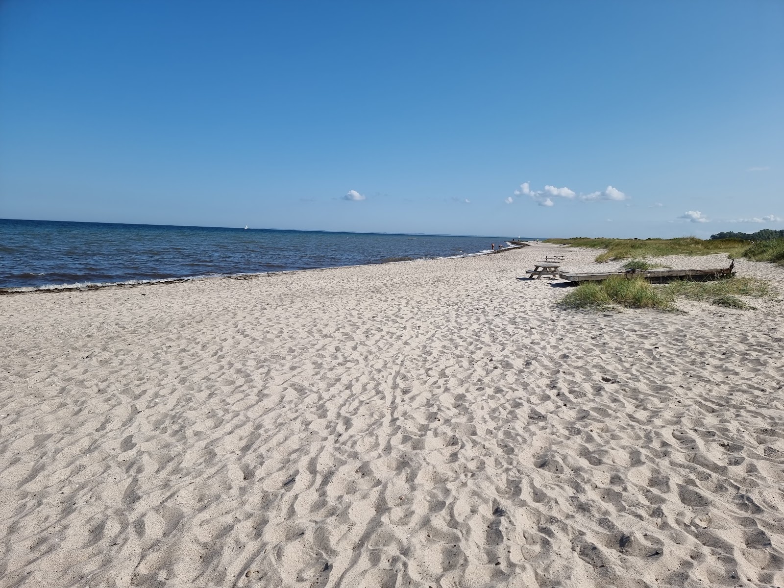 Fotografija Kobingsmark Beach z svetel pesek površino