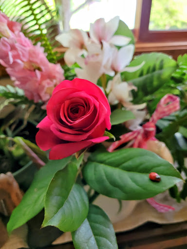 Florist «Snohomish Flower Co», reviews and photos, 1425 Ave D, Snohomish, WA 98290, USA