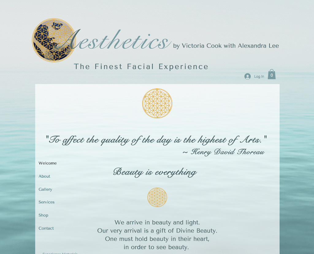 Aesthetics By Victoria Cook 95959