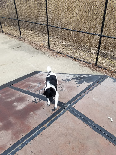 Park «Hampe Park», reviews and photos, 297 W Lies Rd, Carol Stream, IL 60188, USA