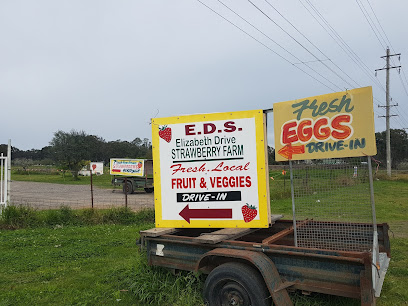 E.D.S Elizabeth Drive Strawberry Farm