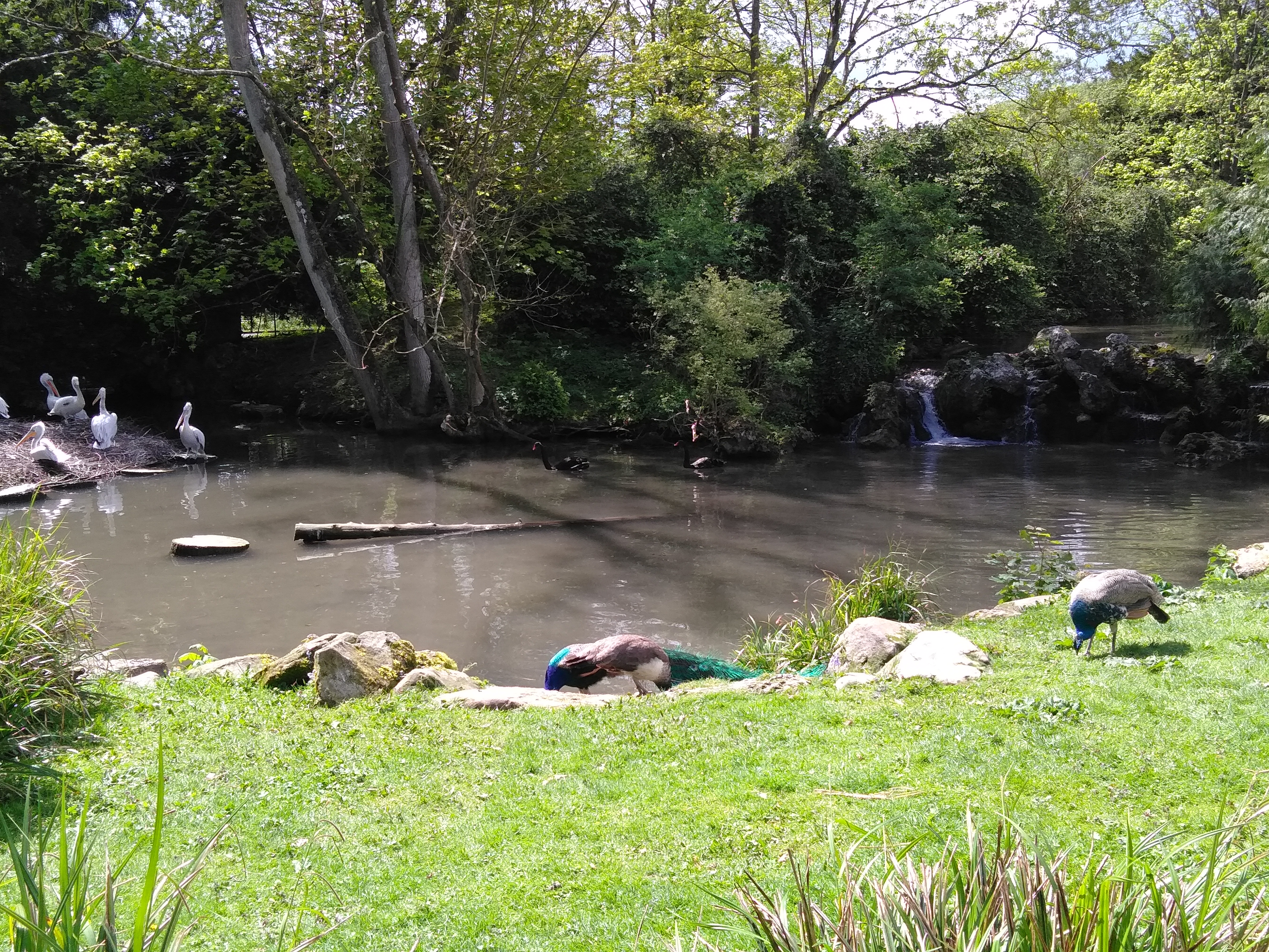 Photo n° 18 de l'avis de Francois.u fait le 08/05/2019 à 16:10