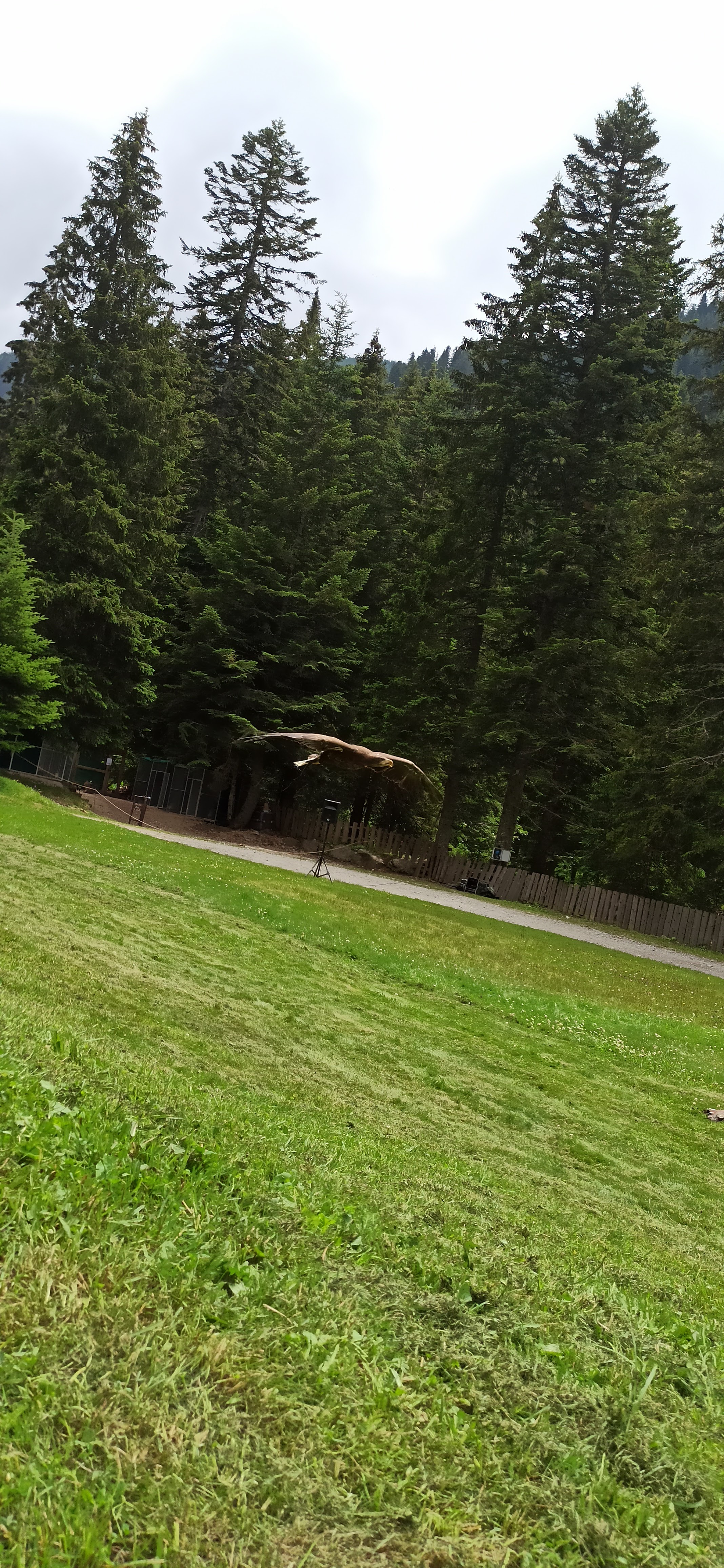 Photo n° 7 de l'avis de Paul. fait le 06/01/2021 à 18:40