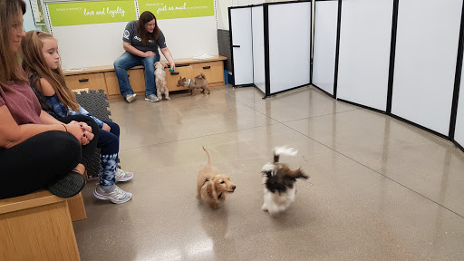 Pet Supply Store «Petco Animal Supplies», reviews and photos, 3194 FM407, Highland Village, TX 75077, USA