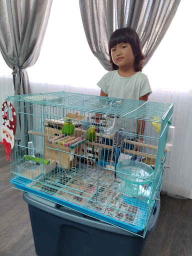 Pet Supply Store «PetSmart», reviews and photos, 12483 Limonite Ave, Mira Loma, CA 91752, USA