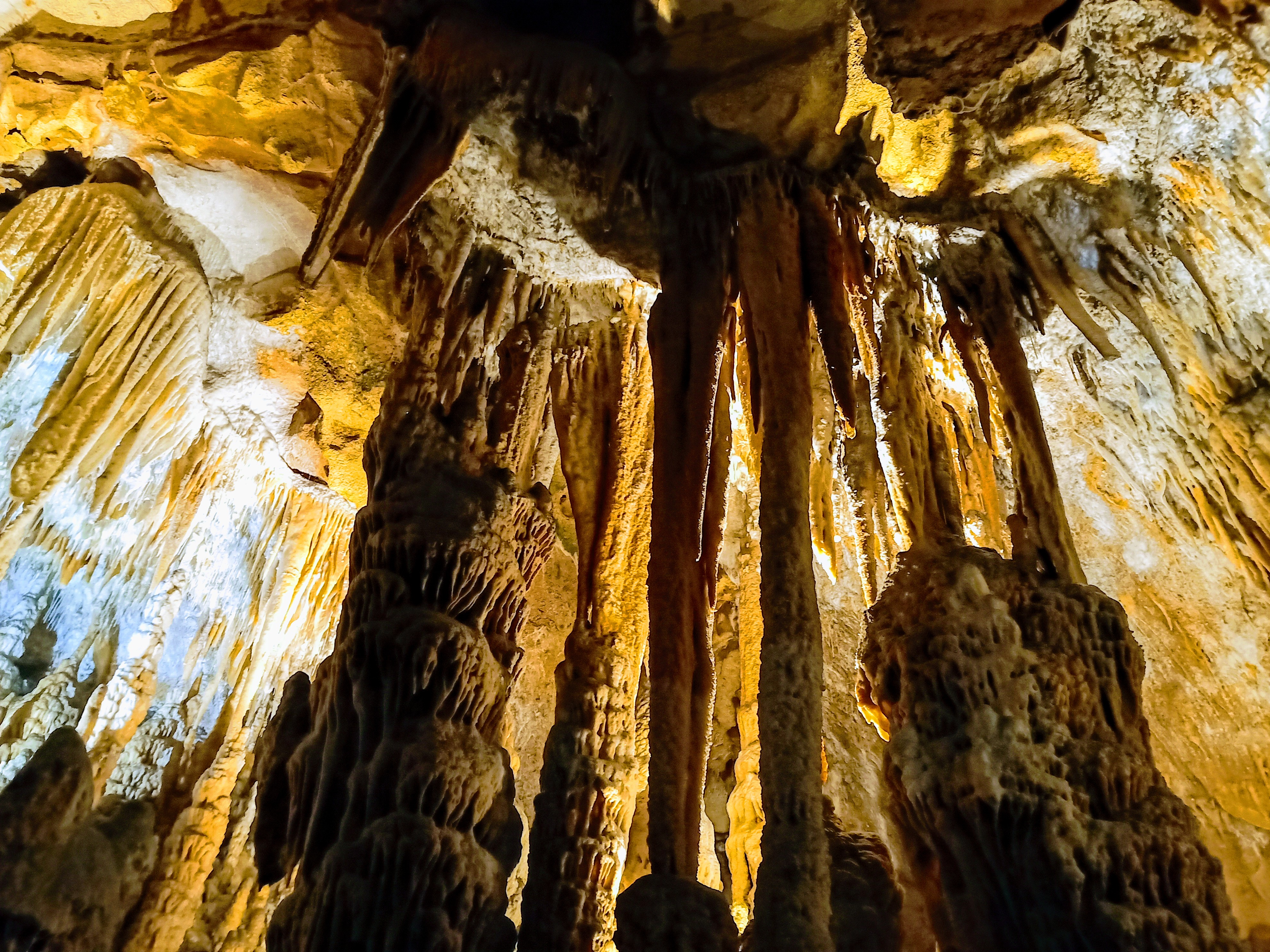 Photo n° 23 de l'avis de Abalone.R fait le 03/08/2019 à 20:27