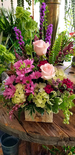 Florist «Mills & Young Florists», reviews and photos, 7122 Dixie Hwy, Louisville, KY 40258, USA