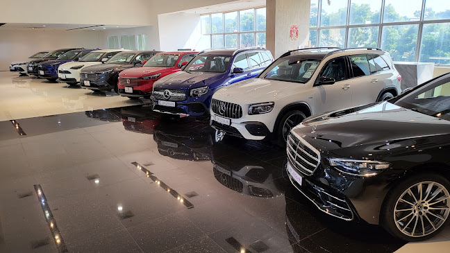 Opinii despre Car Lingual Pte Ltd (Wcega Plaza) în Singapore - Car dealer