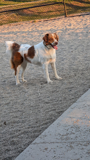 Park «Danehy Park», reviews and photos, 99 Sherman St, Cambridge, MA 02138, USA